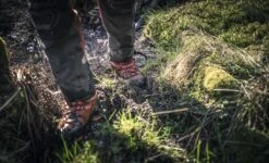 Husqvarna Technical Zaagschoen 24ms - 48 -Husqvarna 5976592XX 5 HUSQVARNA20TECHNICAL20ZAAGSCHOEN2024MS