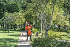 Husqvarna Stokzaag 525p4s 240cm 1.4pk -Husqvarna 967329401 3 Husqvarna20stokzaag20240cm