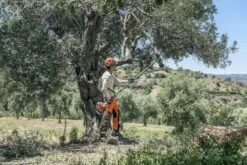 Husqvarna Stokzaag 525p4s 240cm 1.4pk -Husqvarna 967329401 4 Husqvarna20stokzaag20240cm