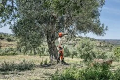 Husqvarna Stokzaag 525p4s 240cm 1.4pk -Husqvarna 967329401 5 Husqvarna20stokzaag20240cm