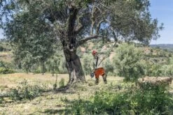 Husqvarna Stokzaag 525p4s 240cm 1.4pk -Husqvarna 967329401 6 Husqvarna20stokzaag20240cm