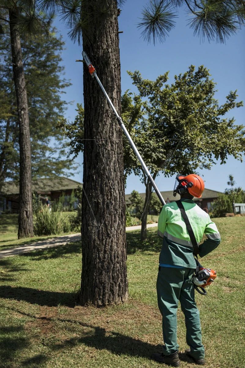 Husqvarna 525pt5s stokzaag vario 397cm Husqvarna 525pt5s Stokzaag Vario 397cm -Husqvarna 967329601 3 HUSQVARNA20525PT5S20STOKZAAG20VARIO20397CM