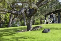 Husqvarna 440 Automower <4000m² 6 Husqvarna 440 Automower <4000m² -Husqvarna 967673312 5 Husqvarna20Automower2044020gazon204000m 1.jpg 1