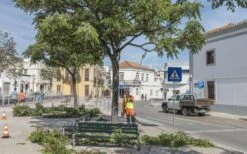 Husqvarna 530ipt5 Accu Stokzaag Ex.accu -Husqvarna 967884811 3 Husqvarna20accu20stokzaag20536lipt5