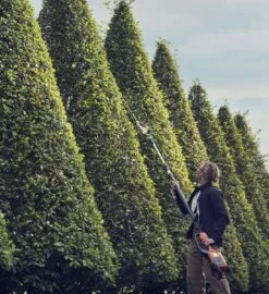 Husqvarna 520iht4 Heggenschaar Actie 5 Husqvarna 520iht4 Heggenschaar Actie -Husqvarna 967971203 3 HUSQVARNA20520iHT420TELESCOOP20HEGGENSCHAAR