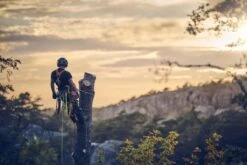 Husqvarna T540xp Mark Iii Klimzaag 35cm -Husqvarna 970517914 7 HUSQVARNA20T540XP20MARK20III20BOOMZAAG2030CM